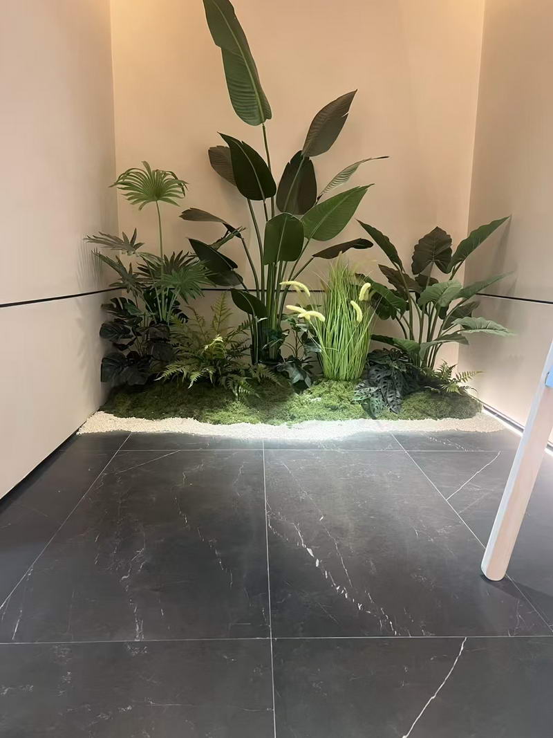 微信图片_20250414083714_8